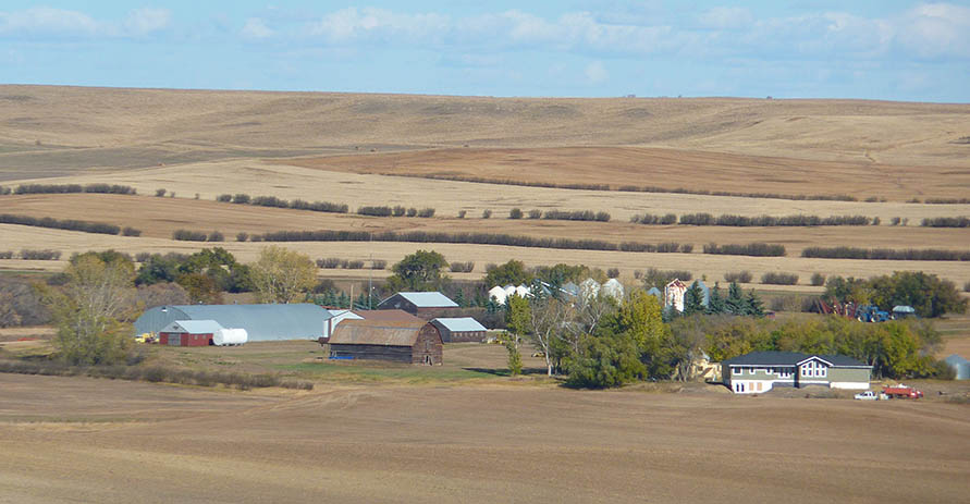 Remoué Family Farms