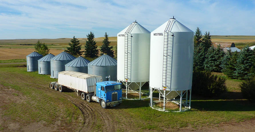 Remoué Family Farms