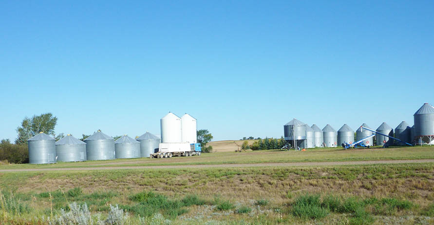 Remoué Family Farms