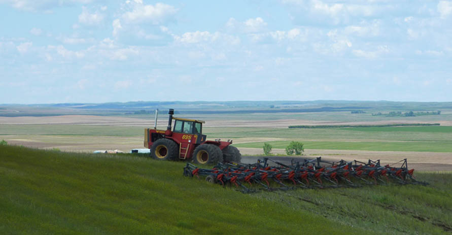 Remoué Family Farms