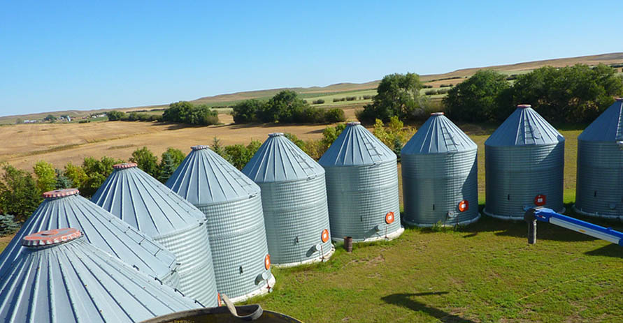 Remoué Family Farms