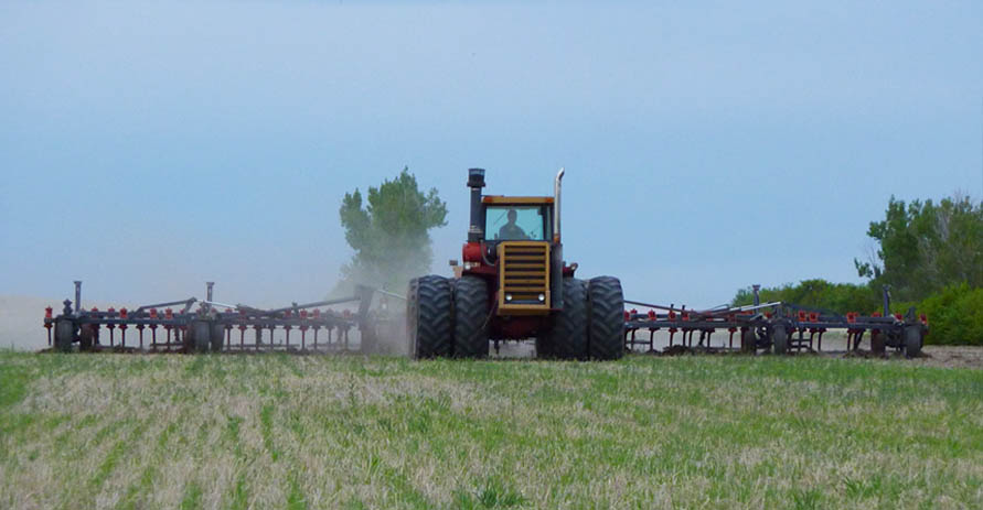 Remoué Family Farms