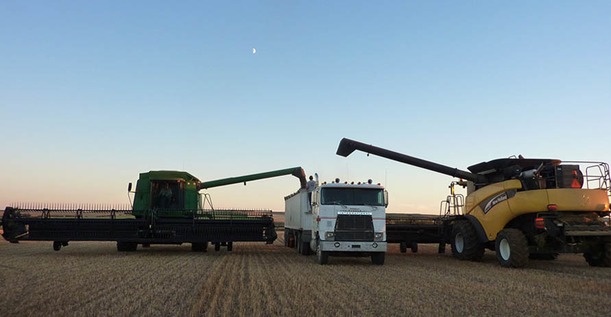 Remoué Family Farms