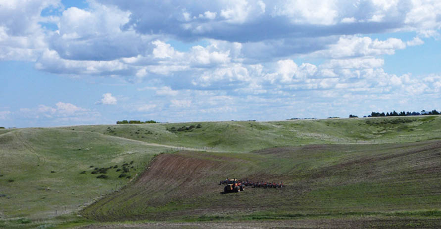 Remoué Family Farms